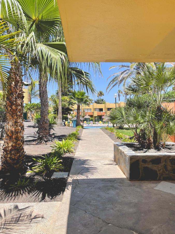 Seaside Apartment Corralejo : A Cozy Holiday Home In A Peaceful Well Located Green Complex Zewnętrze zdjęcie